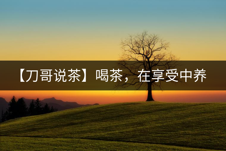 【刀哥說茶】喝茶，在享受中養生的最佳選擇