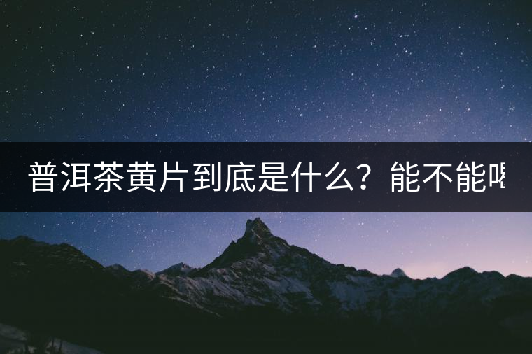 普洱茶黃片到底是什么？能不能喝？