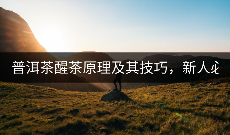 普洱茶醒茶原理及其技巧,新人必備! 普洱茶醒茶原理及其技巧,新人必備!