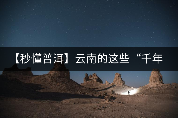 【秒懂普洱】云南的這些“千年茶樹王”,你都知道嗎? 【秒懂普洱】云南的這些“千年茶樹王”,你都知道嗎?