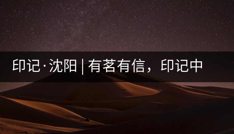 印記·沈陽 | 有茗有信，印記中茶，中茶普洱亮相沈陽茶博會