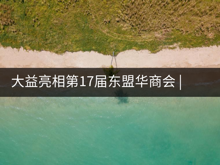 大益亮相第17屆東盟華商會 | 海內外嘉賓共謀發展,共品大益茶 大益亮相第17屆東盟華商會 | 海內外嘉賓共謀發展,共品大益茶