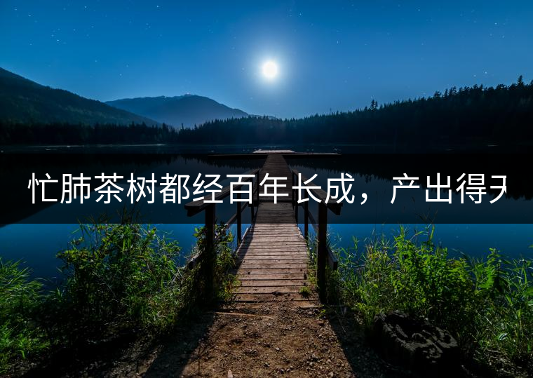 忙肺茶樹都經(jīng)百年長(zhǎng)成，產(chǎn)出得天獨(dú)厚的好味道:入口香...忙肺茶樹都經(jīng)百年長(zhǎng)成，產(chǎn)出得天獨(dú)厚的好味道：入口香甜回甘持久