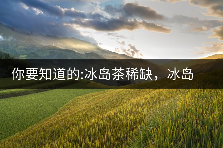 你要知道的:冰島茶稀缺,冰島熟茶更來之不易你要知道的:冰島茶稀缺,冰島熟茶更來之不易 你要知道的:冰島茶稀缺,冰島熟茶更來之不易你要知道的:冰島茶稀缺,冰島熟茶更來之不易