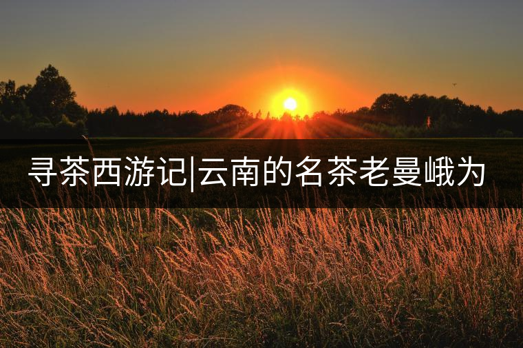 尋茶西游記|云南的名茶老曼峨為什么這么多人愛,這里...尋茶西游記|云南的名茶老曼峨為什么這么多人愛,這里給你答案! 尋茶西游記|云南的名茶老曼峨為什么這么多人愛,這里...尋茶西游記|云南的名茶老曼峨為什么這么多人愛,這里給你答案!