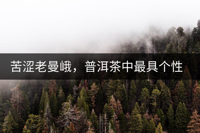 苦澀老曼峨，普洱茶中最具個性的“布朗味”苦澀老曼峨，普洱茶中最具個性的“布朗味”