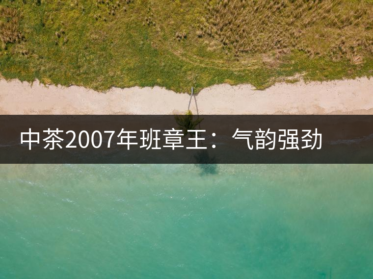 中茶2007年班章王：氣韻強勁，蜂蜜水般甜潤，一直被老茶客撿漏