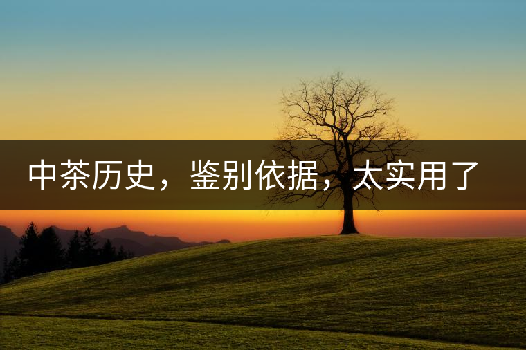 中茶歷史，鑒別依據(jù)，太實(shí)用了中茶歷史，鑒別依據(jù)，太實(shí)用了