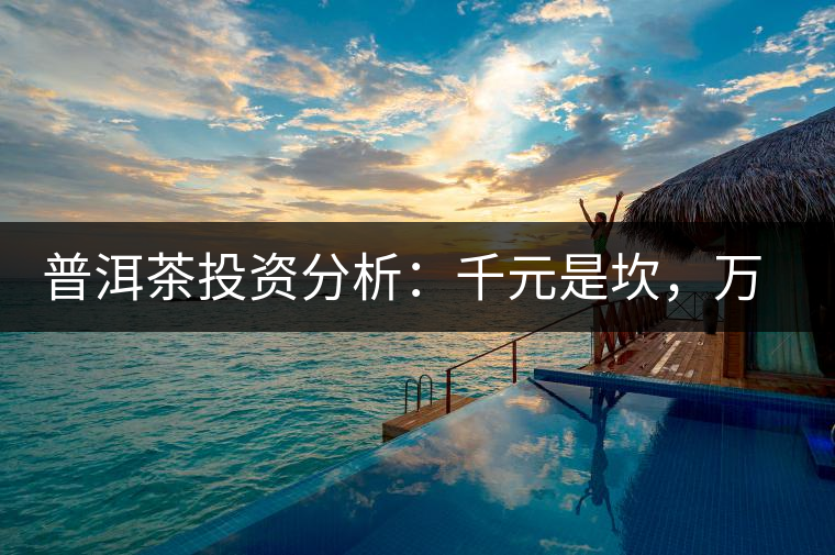 普洱茶投資分析：千元是坎，萬元是坑