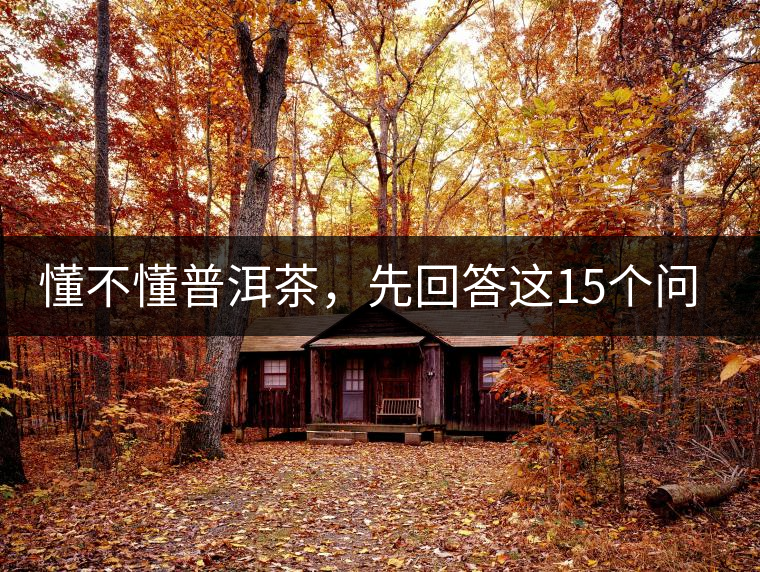 懂不懂普洱茶,先回答這15個問題試試? 懂不懂普洱茶,先回答這15個問題試試?