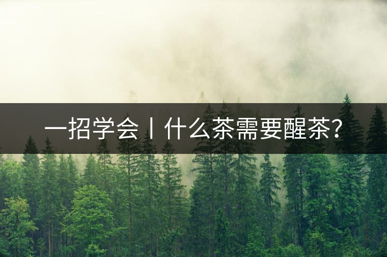 一招學會丨什么茶需要醒茶？