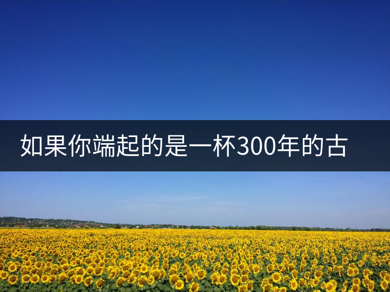 如果你端起的是一杯300年的古樹茶，那會是一種怎樣的心境？