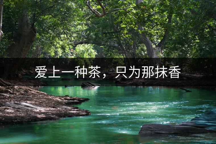 愛上一種茶,只為那抹香 愛上一種茶,只為那抹香