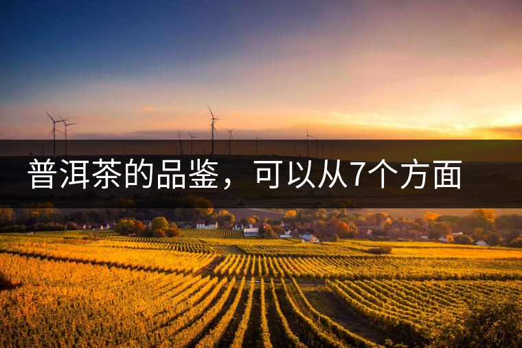 普洱茶的品鑒,可以從7個方面著手 普洱茶的品鑒,可以從7個方面著手