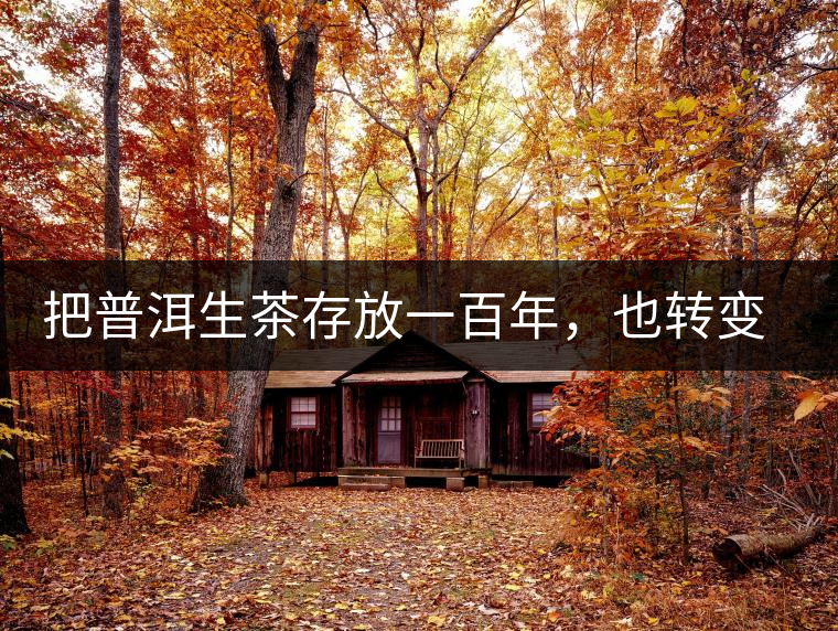 把普洱生茶存放一百年,也轉變不成熟茶 把普洱生茶存放一百年,也轉變不成熟茶