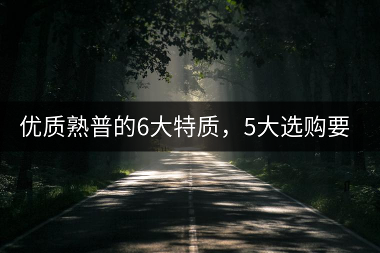 優質熟普的6大特質，5大選購要點