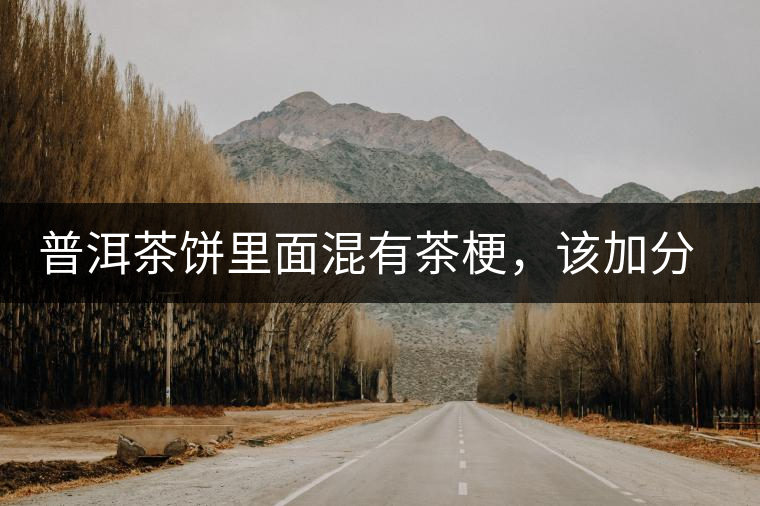 普洱茶餅里面混有茶梗，該加分還是減分？