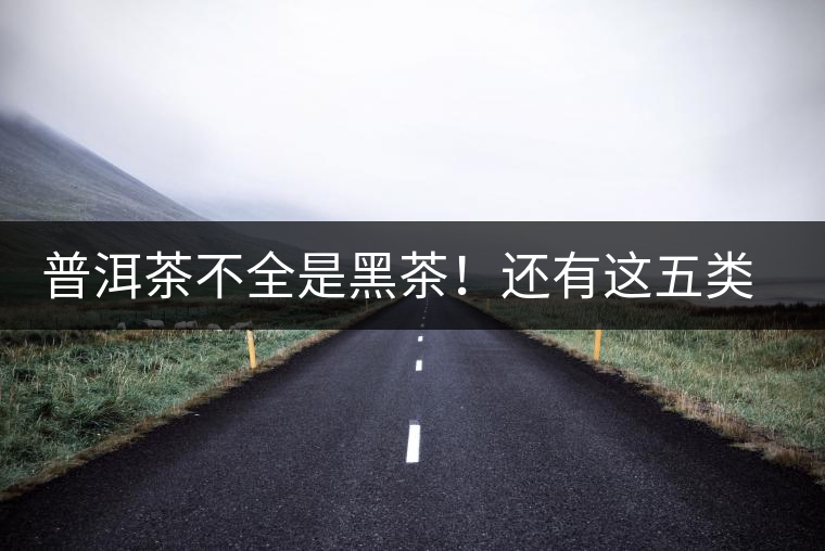 普洱茶不全是黑茶!還有這五類茶,現在知道還不算晚 普洱茶不全是黑茶!還有這五類茶,現在知道還不算晚