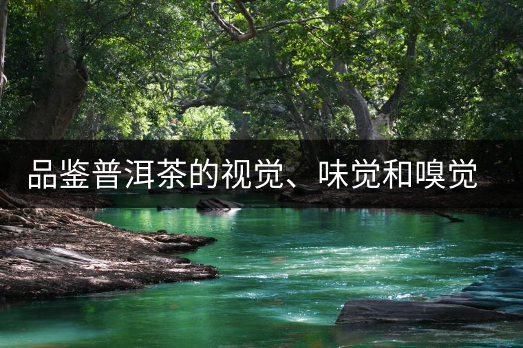 品鑒普洱茶的視覺、味覺和嗅覺指標