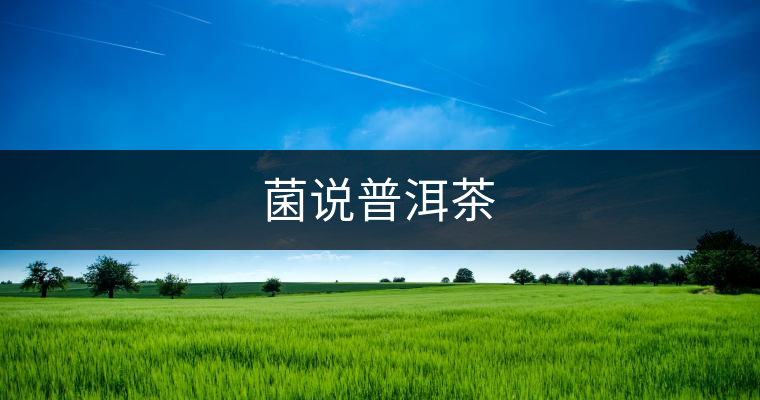 菌說普洱茶 菌說普洱茶
