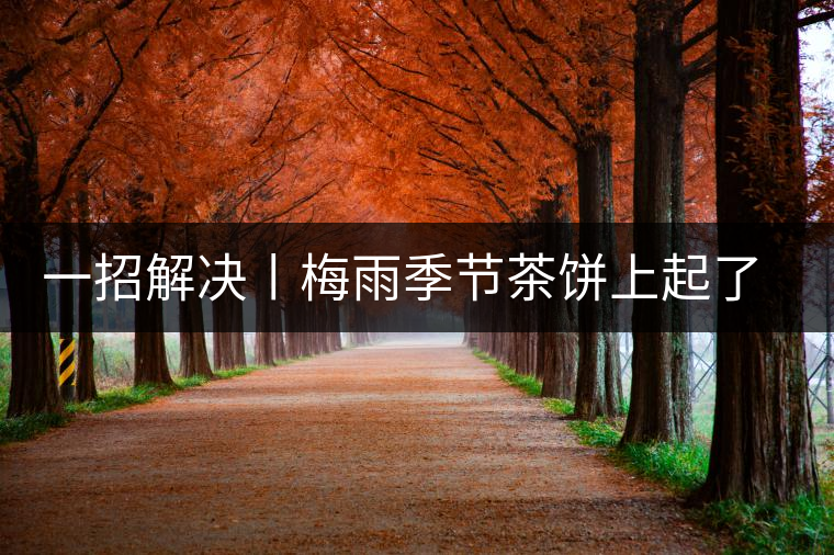 一招解決丨梅雨季節茶餅上起了白霜白點怎么辦? 一招解決丨梅雨季節茶餅上起了白霜白點怎么辦?