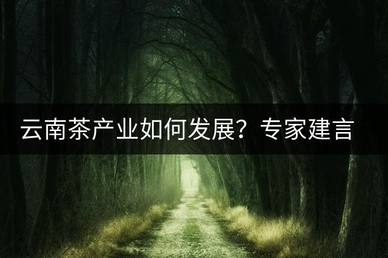 云南茶產業如何發展?專家建言:產業復興助脫貧 云南茶產業如何發展?專家建言:產業復興助脫貧