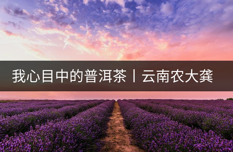 我心目中的普洱茶丨云南農大龔加順教授解密普洱熟茶