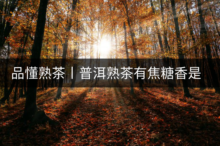 品懂熟茶丨普洱熟茶有焦糖香是好還是不好的表現(xiàn)？