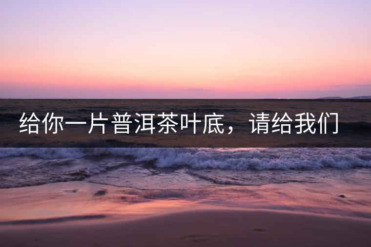 給你一片普洱茶葉底,請給我們聊聊它的生態(tài)和樹齡 給你一片普洱茶葉底,請給我們聊聊它的生態(tài)和樹齡