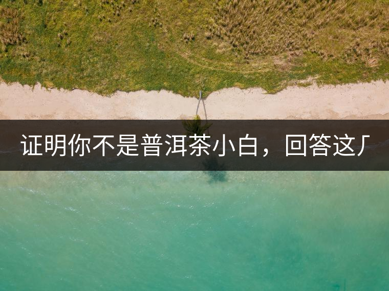 證明你不是普洱茶小白，回答這幾個問題先！