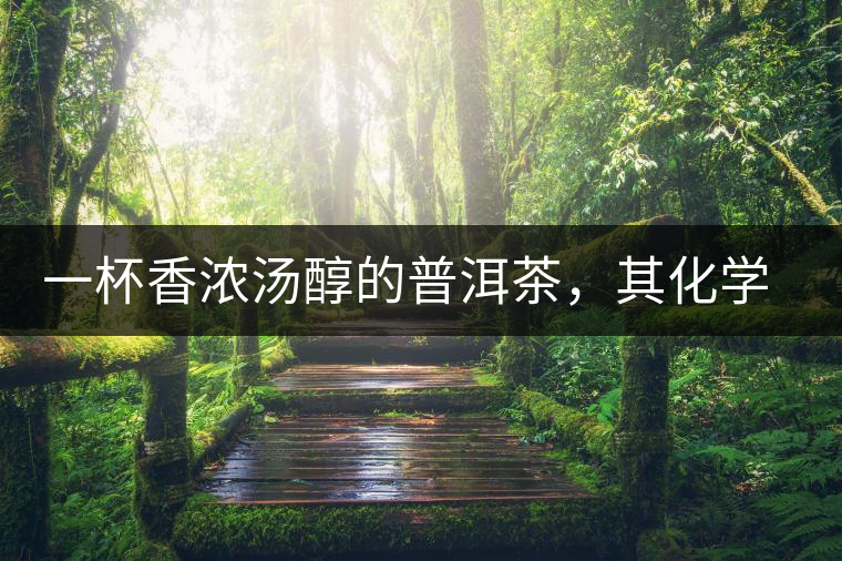 一杯香濃湯醇的普洱茶,其化學成分是怎樣的? 一杯香濃湯醇的普洱茶,其化學成分是怎樣的?