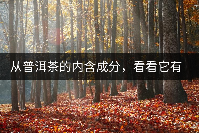 從普洱茶的內(nèi)含成分，看看它有什么功效？