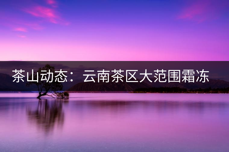 茶山動態:云南茶區大范圍霜凍 明春茶葉產量堪憂 茶山動態:云南茶區大范圍霜凍 明春茶葉產量堪憂