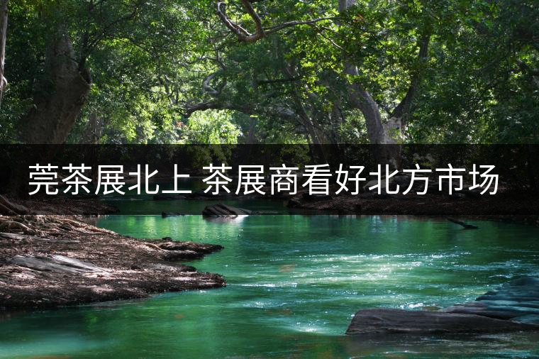 莞茶展北上 茶展商看好北方市場！