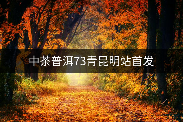 中茶普洱73青昆明站首發