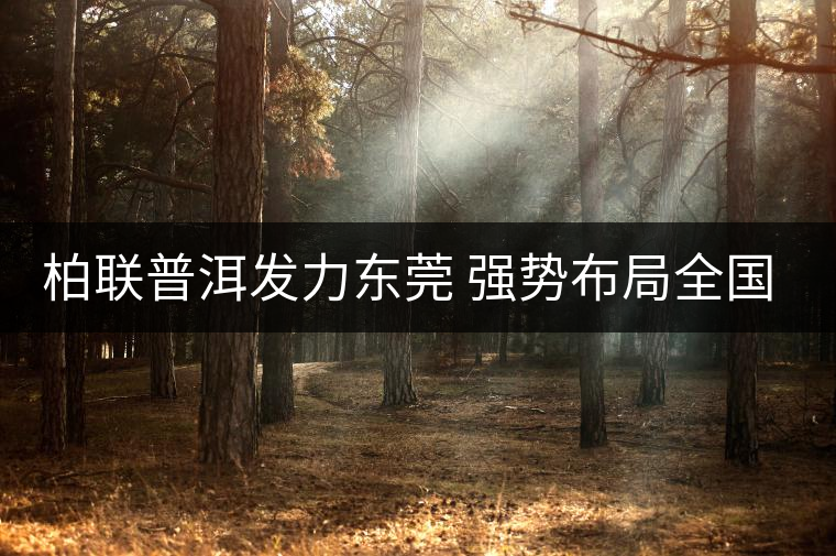 柏聯普洱發力東莞 強勢布局全國茶市