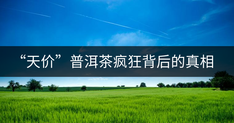 “天價”普洱茶瘋狂背后的真相