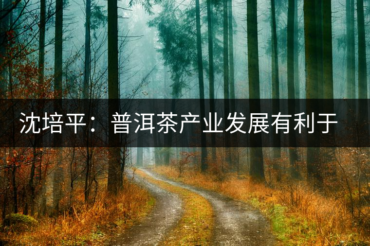 沈培平:普洱茶產業發展有利于人民健康 沈培平:普洱茶產業發展有利于人民健康