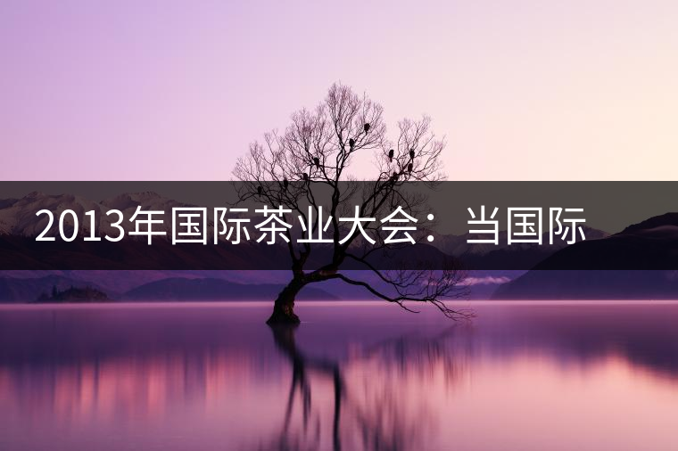 2013年國際茶業大會:當國際元素遇上普洱 2013年國際茶業大會:當國際元素遇上普洱