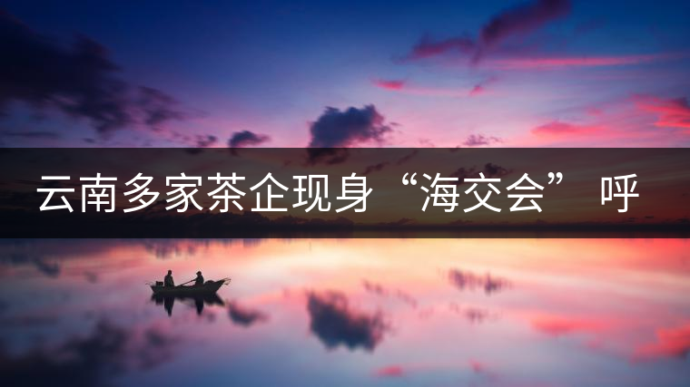云南多家茶企現身“海交會” 呼吁普洱茶投資應理性 云南多家茶企現身“海交會” 呼吁普洱茶投資應理性