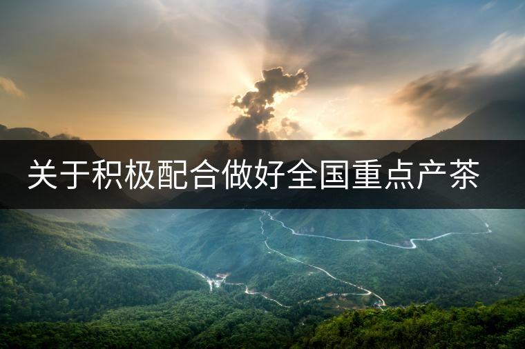 關于積極配合做好全國重點產茶縣、百強茶企和年度經濟人物調查推選工作的通知 關于積極配合做好全國重點產茶縣、百強茶企和年度經濟人物調查推選工作的通知