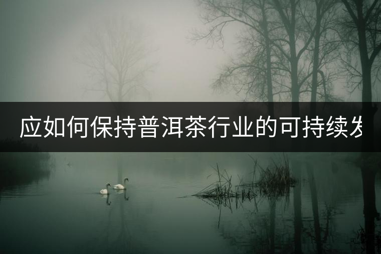 應如何保持普洱茶行業的可持續發展？