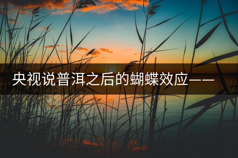 央視說普洱之后的蝴蝶效應(yīng)——過度開采會出現(xiàn)“死循環(huán)”？