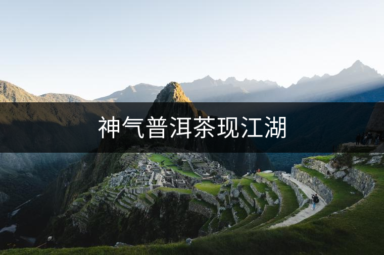 神氣普洱茶現江湖 神氣普洱茶現江湖