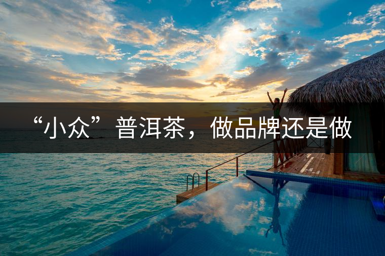 “小眾”普洱茶，做品牌還是做圈子？