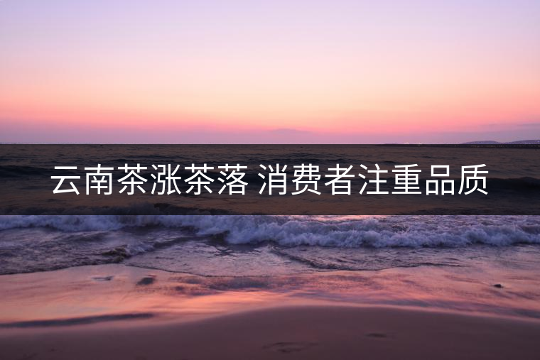 云南茶漲茶落 消費者注重品質