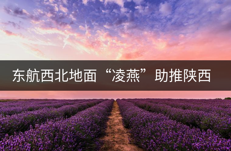 東航西北地面“凌燕”助推陜西省文化節開幕