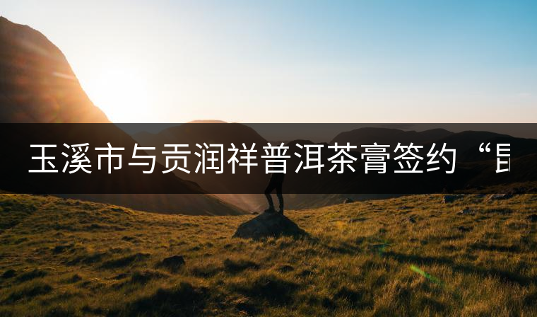 玉溪市與貢潤祥普洱茶膏簽約“昆交會” 玉溪市與貢潤祥普洱茶膏簽約“昆交會”
