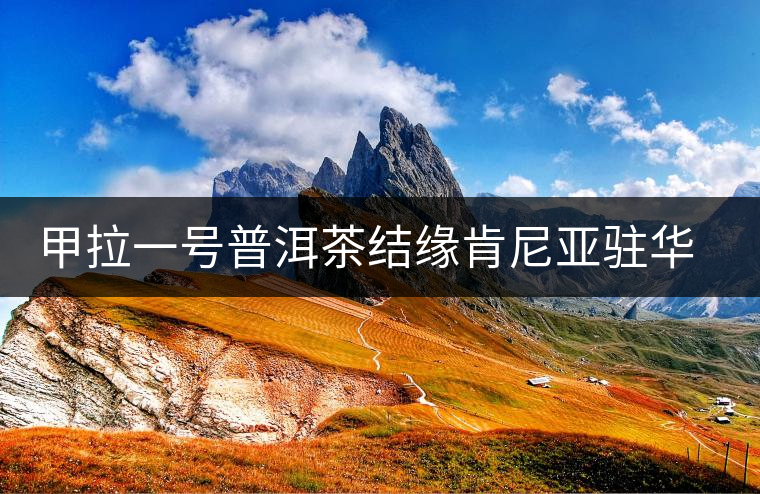 甲拉一號普洱茶結緣肯尼亞駐華專員 甲拉一號普洱茶結緣肯尼亞駐華專員