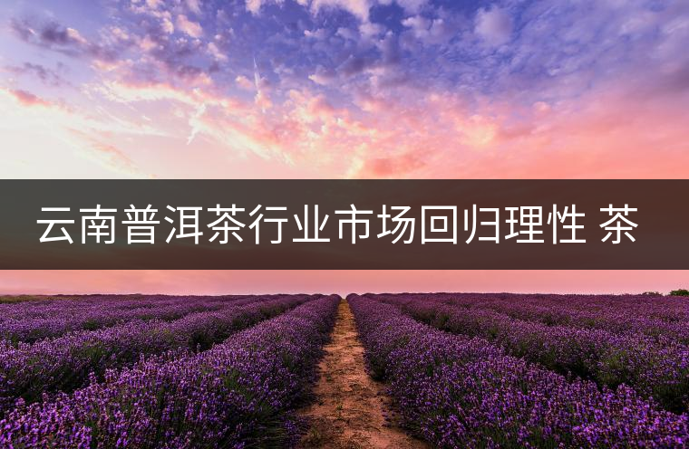 云南普洱茶行業市場回歸理性 茶商發力消費市場 云南普洱茶行業市場回歸理性 茶商發力消費市場